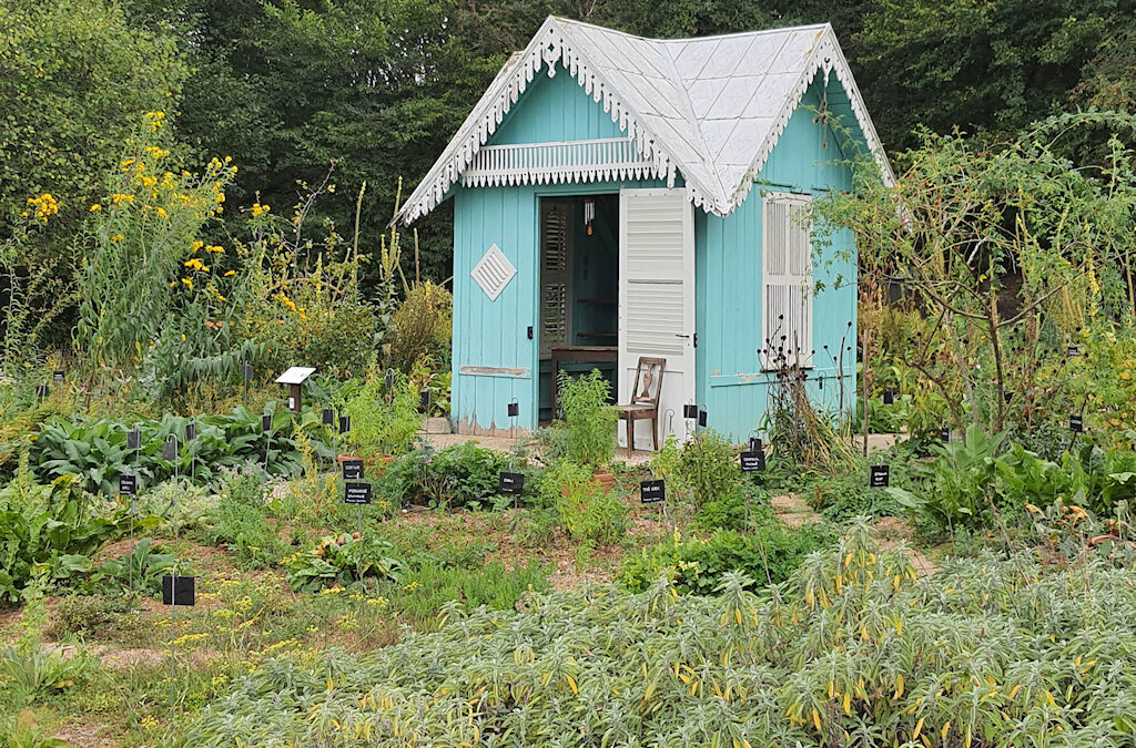 Ouverture à venir du jardin partagé