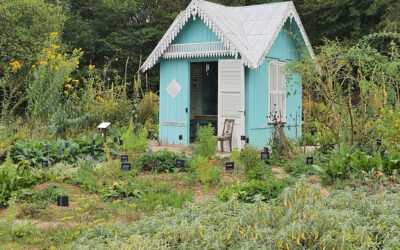 Ouverture à venir du jardin partagé