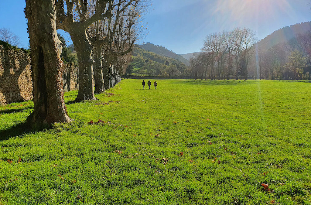 Ouverture au public du parc de l’Abbaye