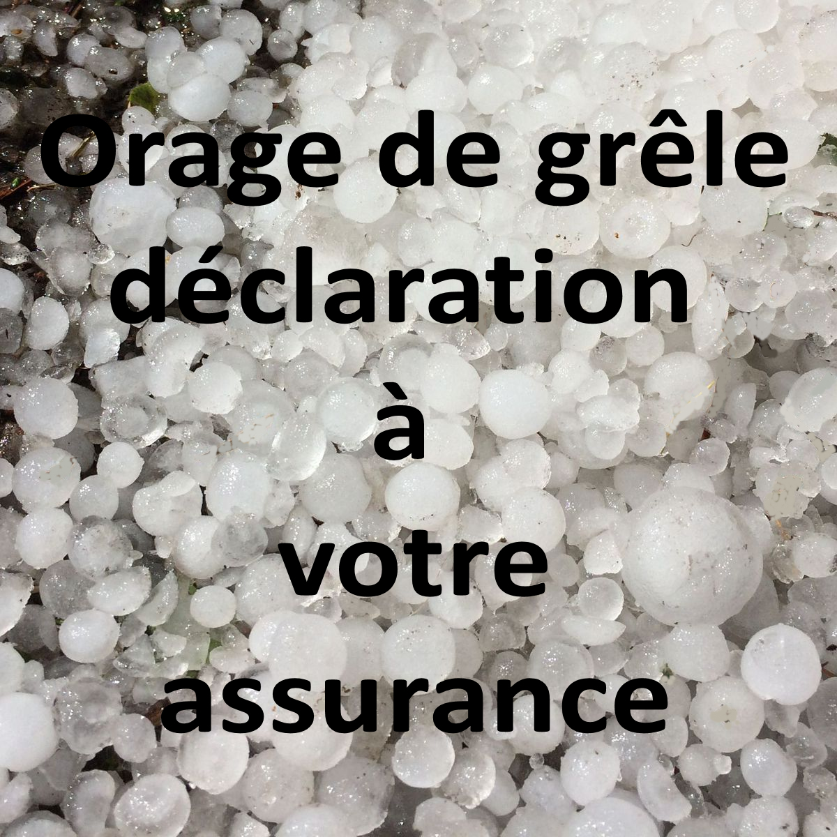 Grele