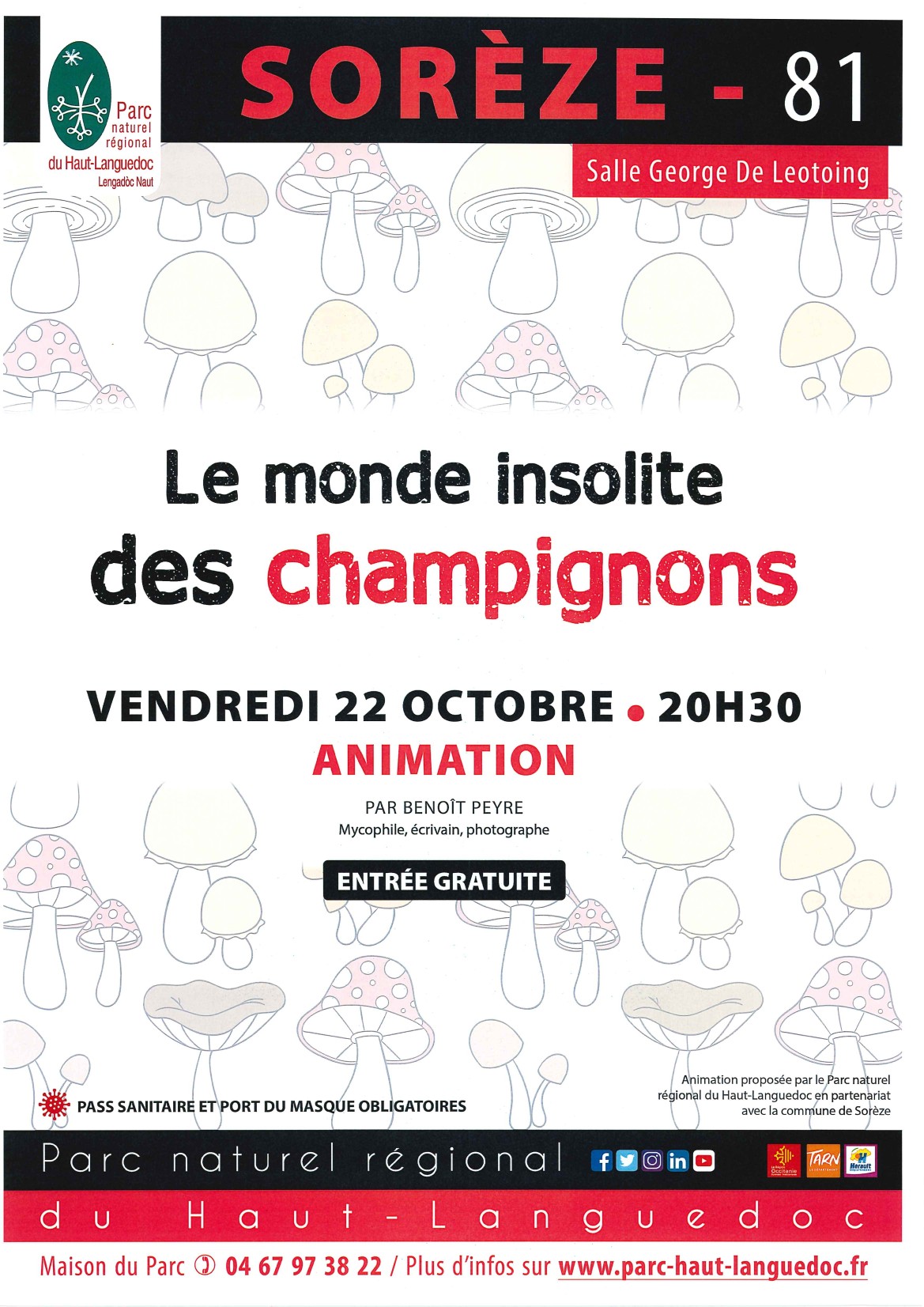 Le monde insolite des champignons