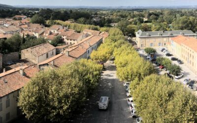 Diagnostic phytosanitaire des arbres