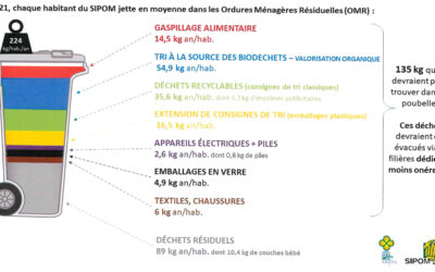 Trifyl : étude sur les types de déchets collectés