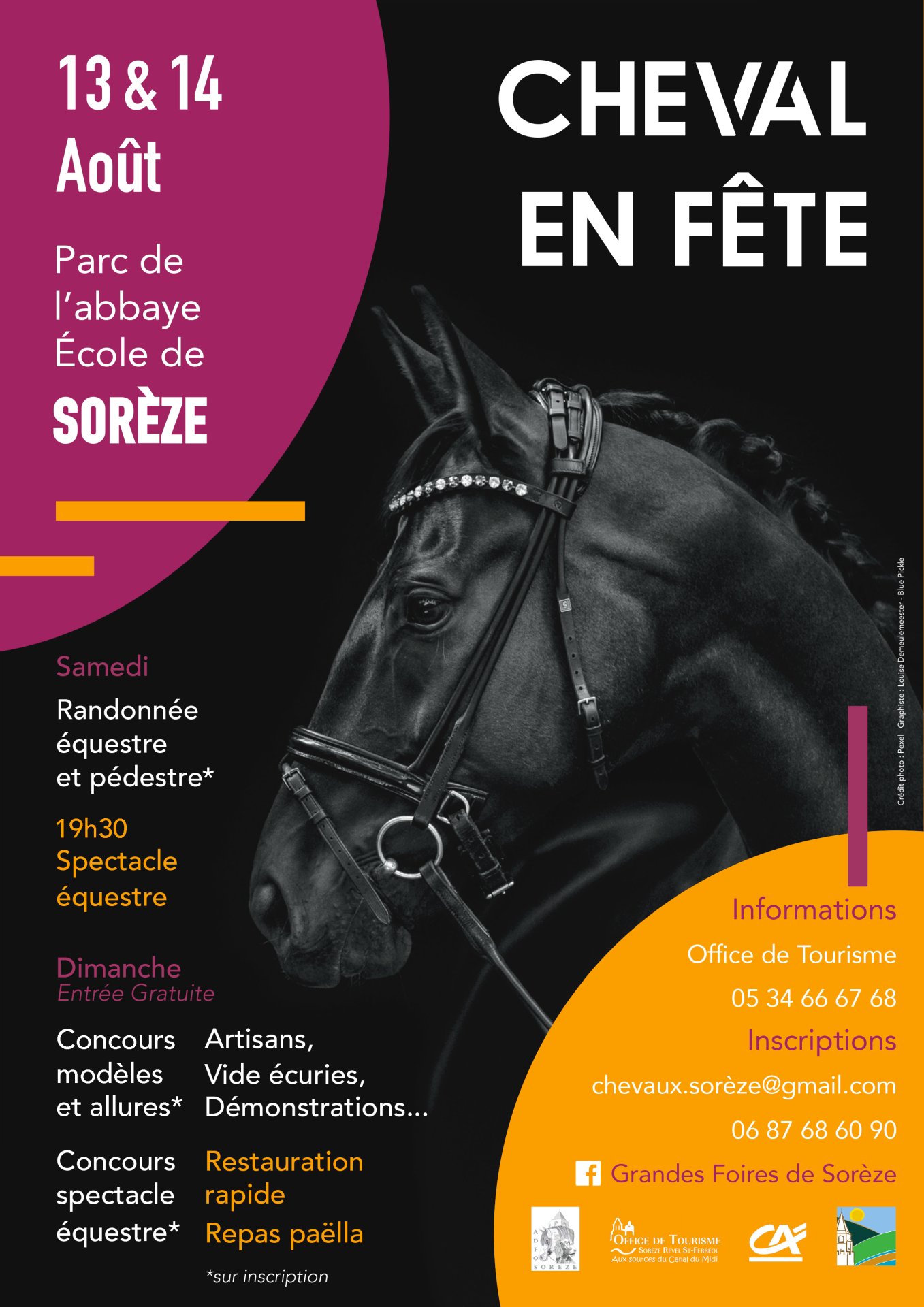 Cheval en Fête Foire de Sorèze13 14 AOUT