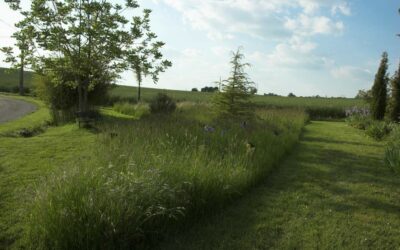 Le fauchage raisonné