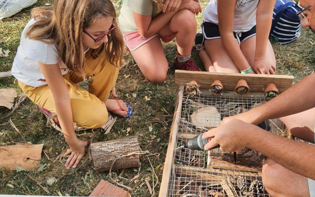 Réalisation d’un hôtel à insectes par les jeunes conseillers