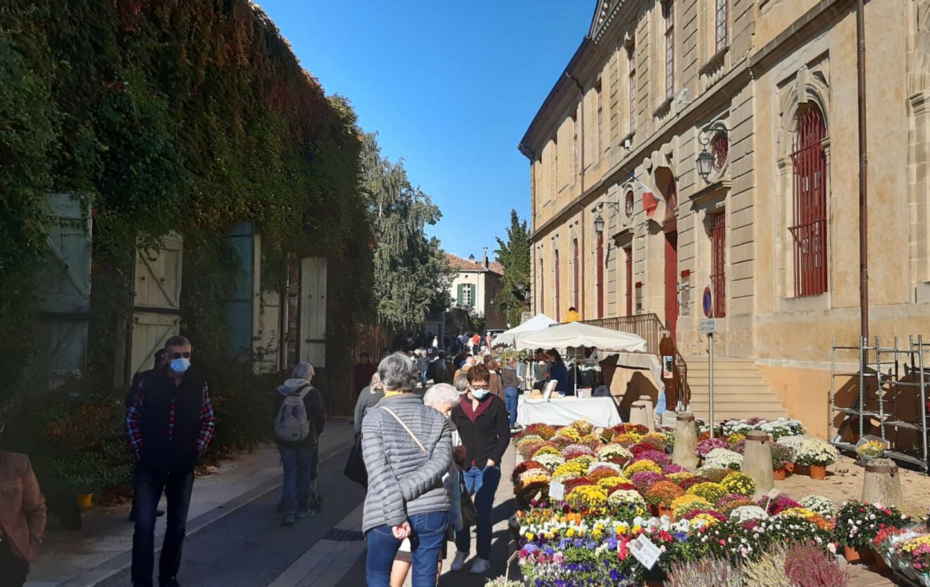 Art et passion au jardin couleurs d'automne