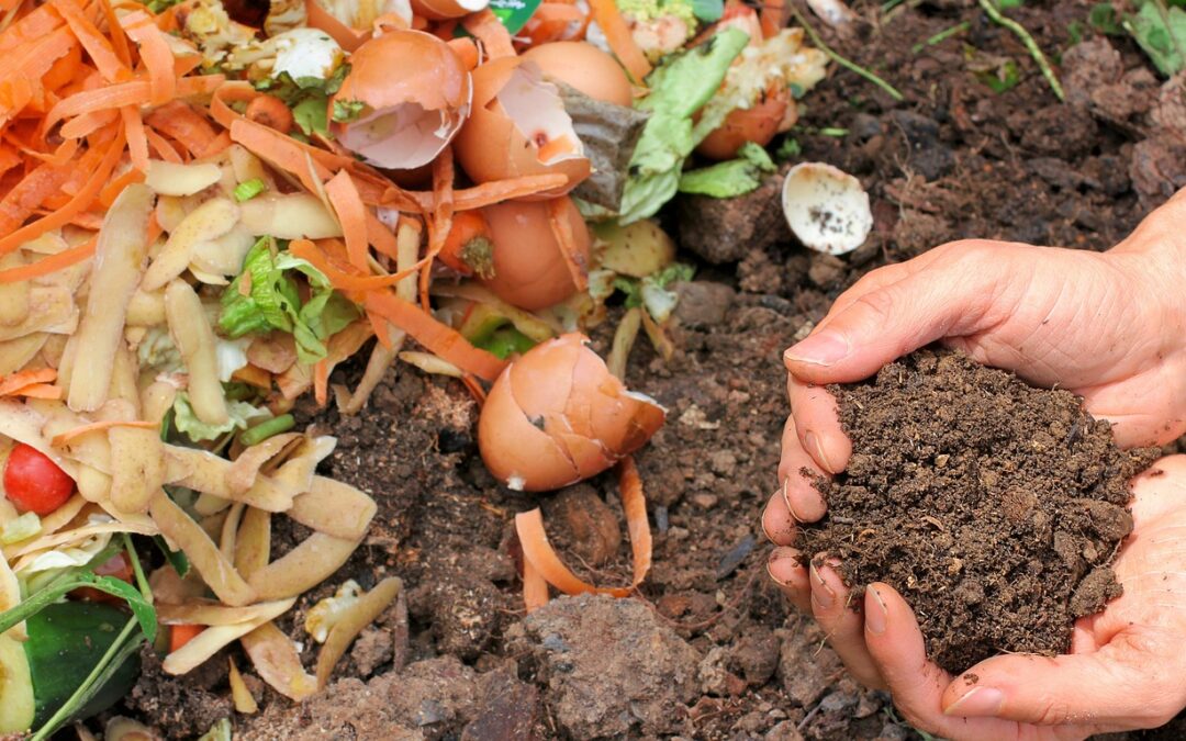 La gestion séparée des biodéchets : le compostage