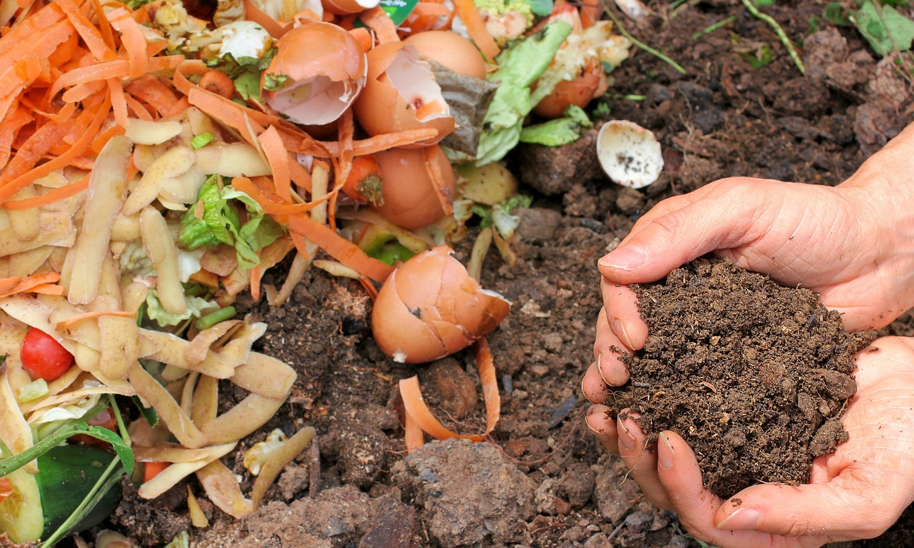 La gestion séparée des biodéchets : le compostage