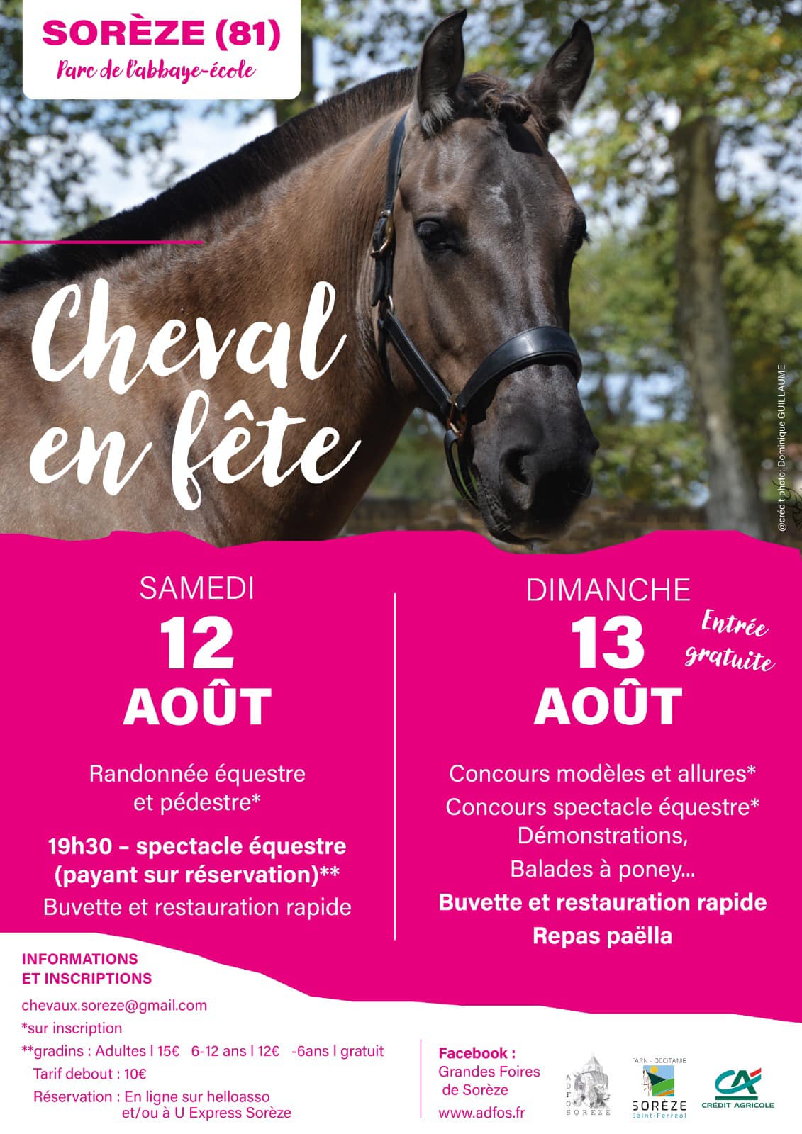 Cheval en fête - journée du cheval