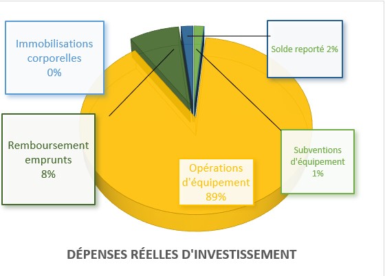 Dépenses réelles d'investissement