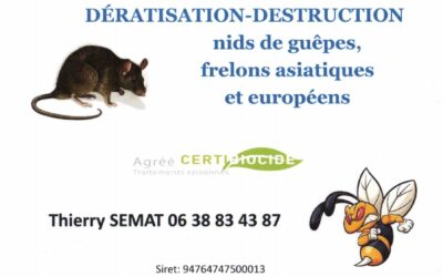 Nouveau à Sorèze : entreprise de dératisation et destruction de nids de frelons