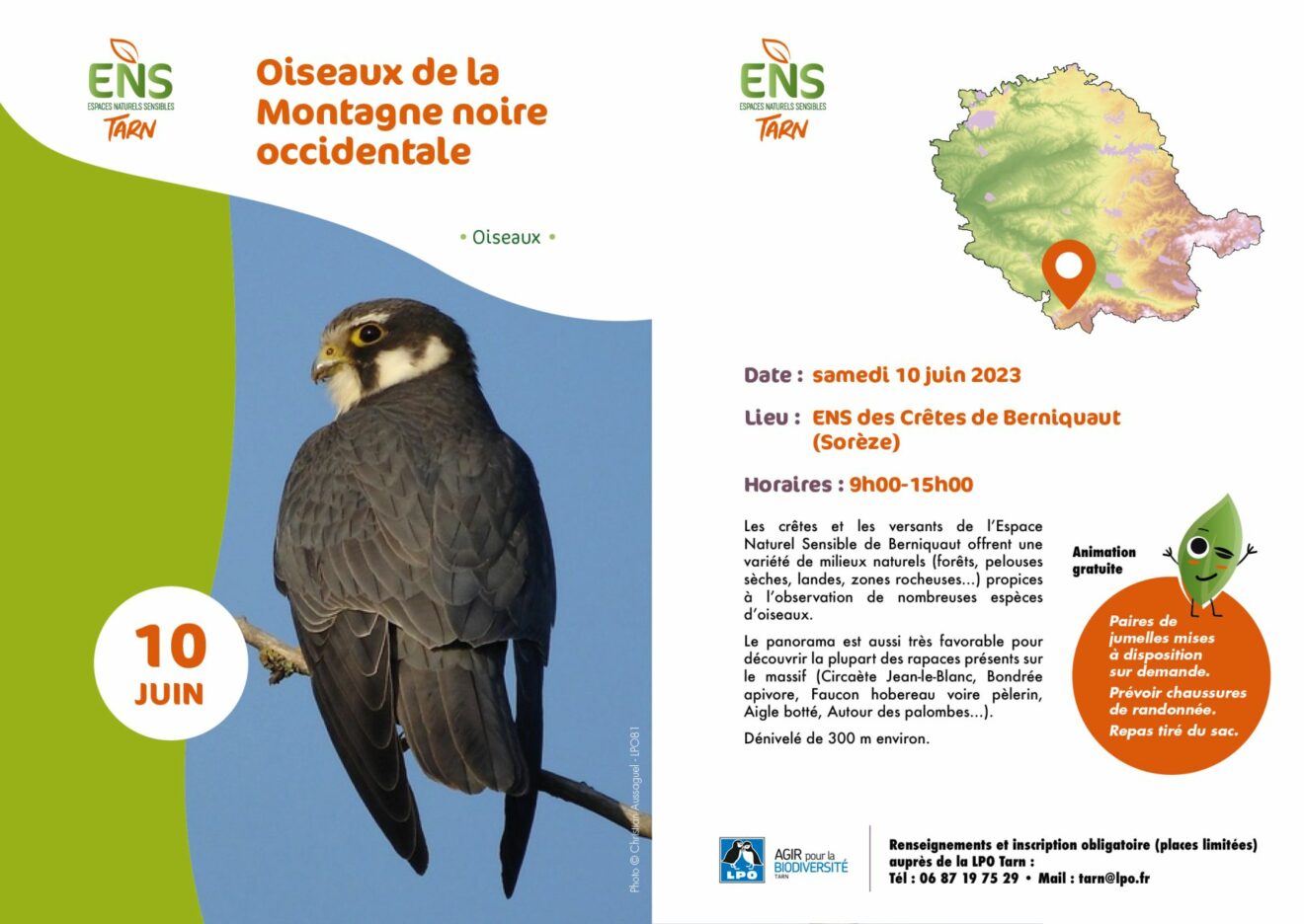 Oiseaux de la Montagne noire occidentale