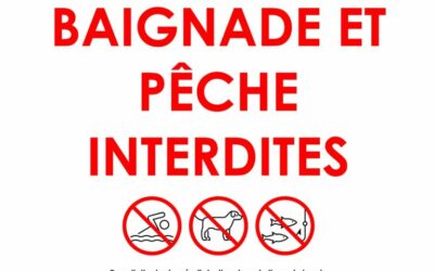 Lac de Saint Ferréol – cyanobactéries