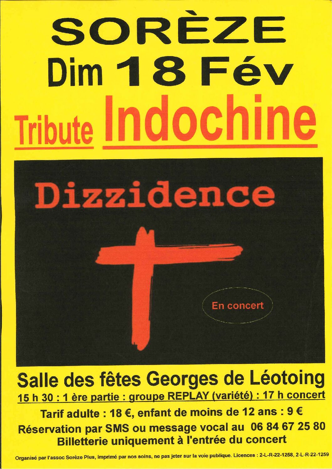 Concert : Dizzidence - tribute Indochine