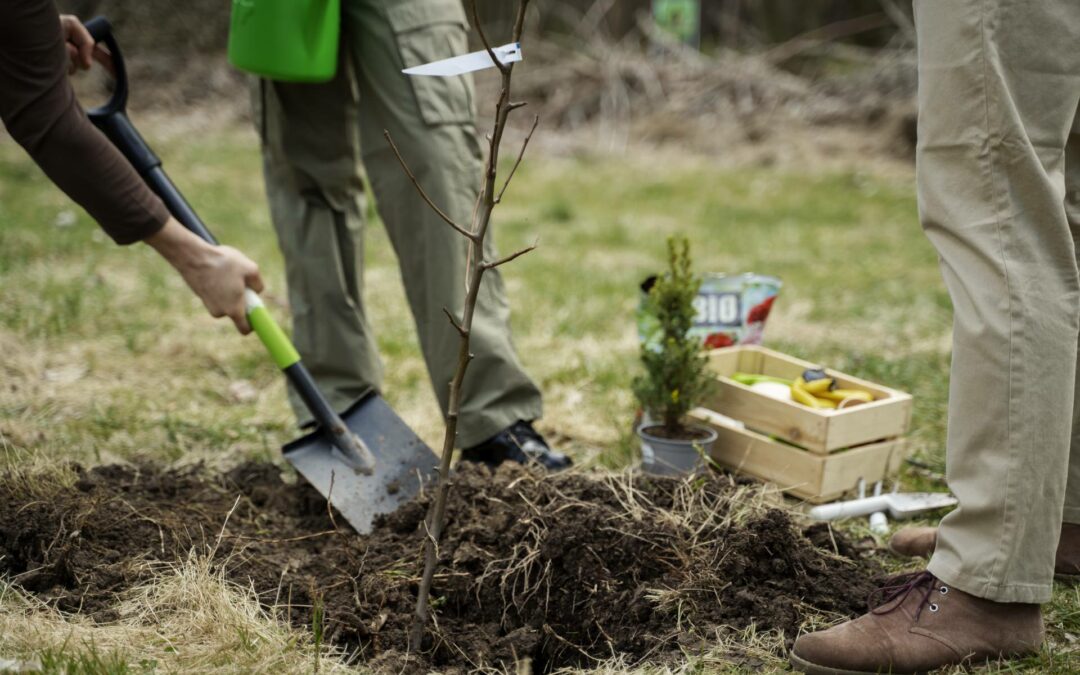 La biodiversité s’invite à l’école