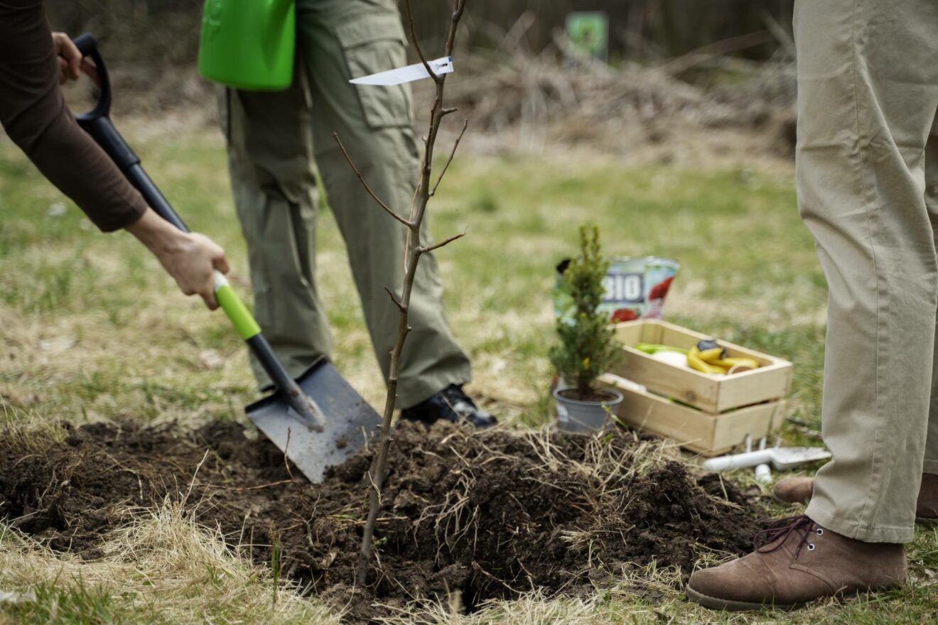La biodiversité s’invite à l’école