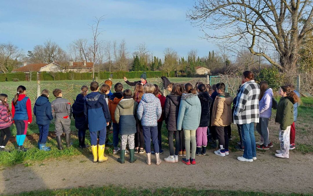 École publique : plantation de 40 plants d’arbustes