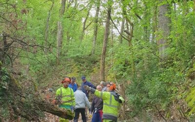 Nettoyage du nouvel accès à Berniquaut