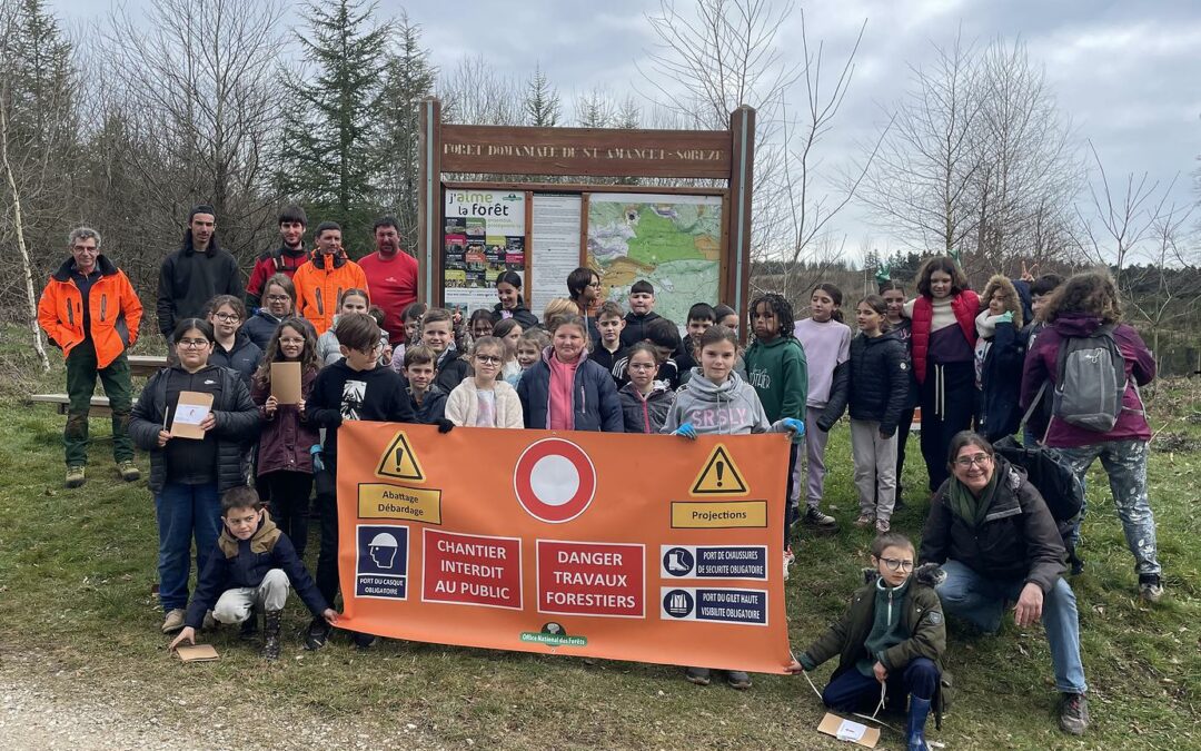Des élèves de Sorèze plantent l’avenir de la forêt avec l’ONF
