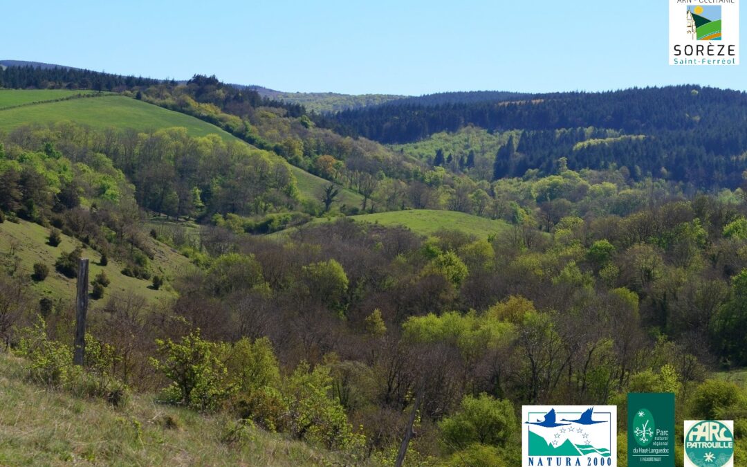 Ambassadeurs nature : la « Parc Patrouille » sur le terrain cet été