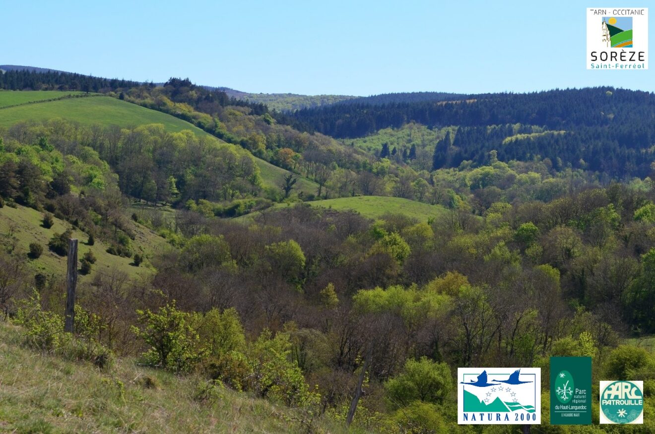 Ambassadeurs nature : la ＂Parc Patrouille＂ sur le terrain cet été