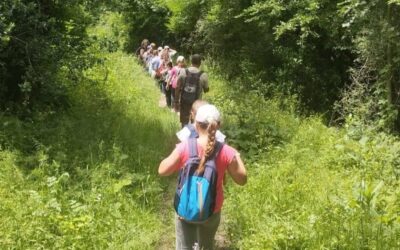 Forêt, montagne et grotte : les élèves de Sorèze marchent vers la nature !