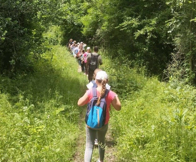 Forêt, montagne et grotte : les élèves de Sorèze marchent vers la nature !