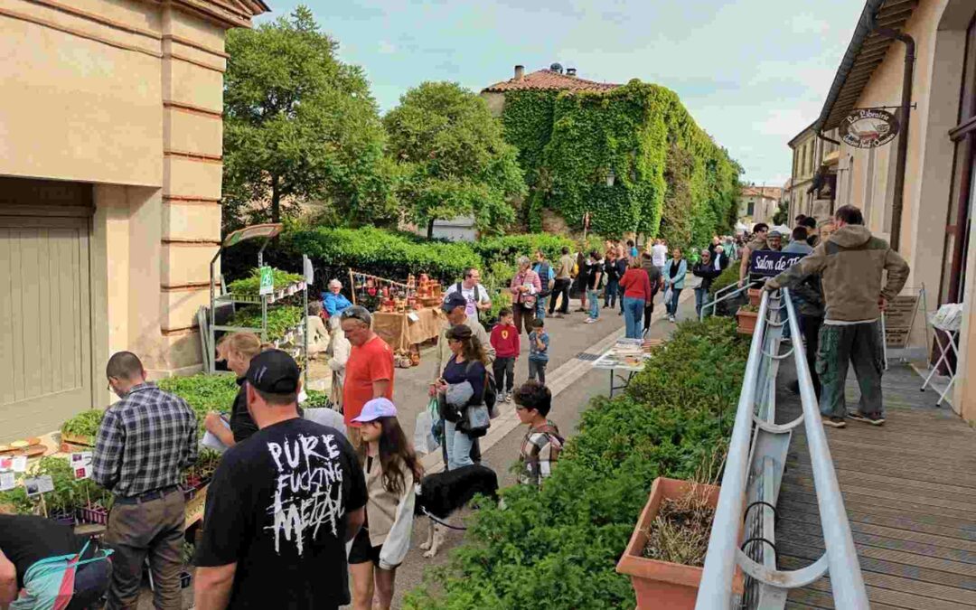 Retour sur le marché des saveurs, plants et fleurs de printemps !